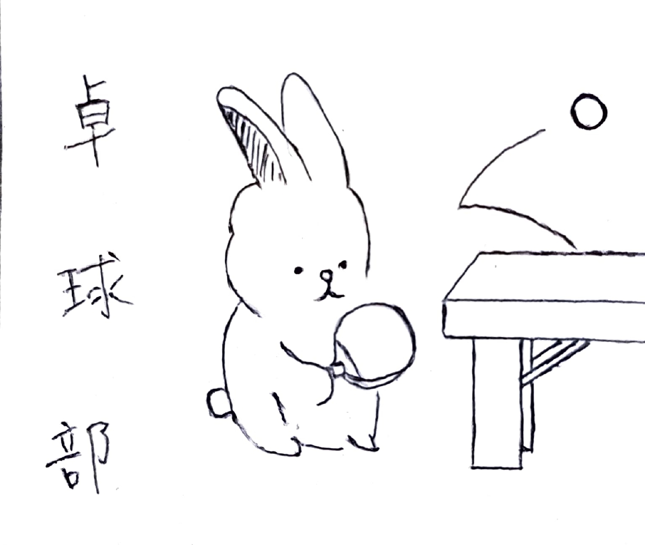 卓球